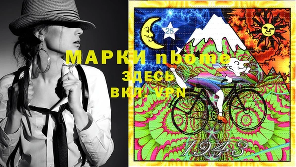 прущие грибы Верхний Тагил