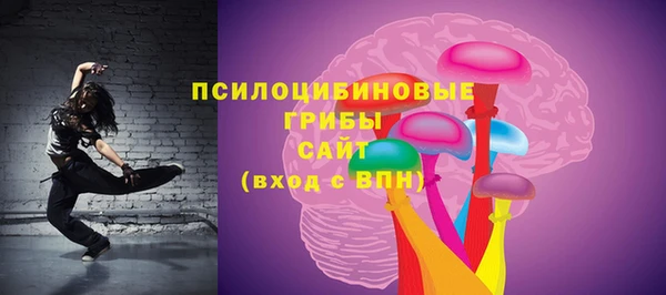 соль ск Верея