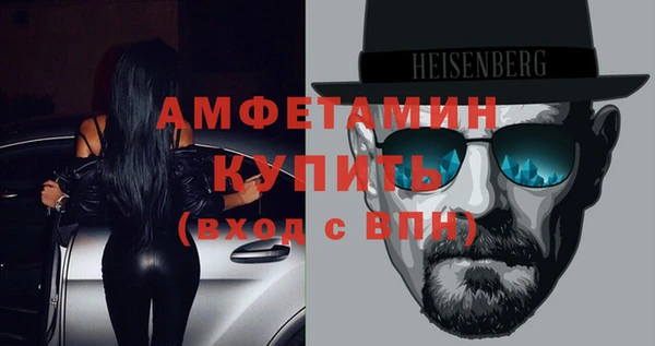 прущие грибы Верхний Тагил