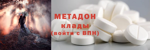 прущие грибы Верхний Тагил