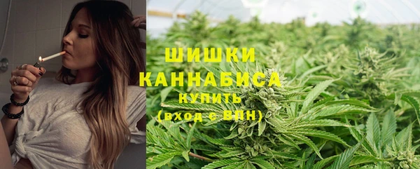 прущие грибы Верхний Тагил