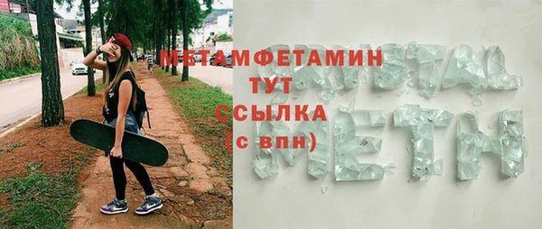 прущие грибы Верхний Тагил